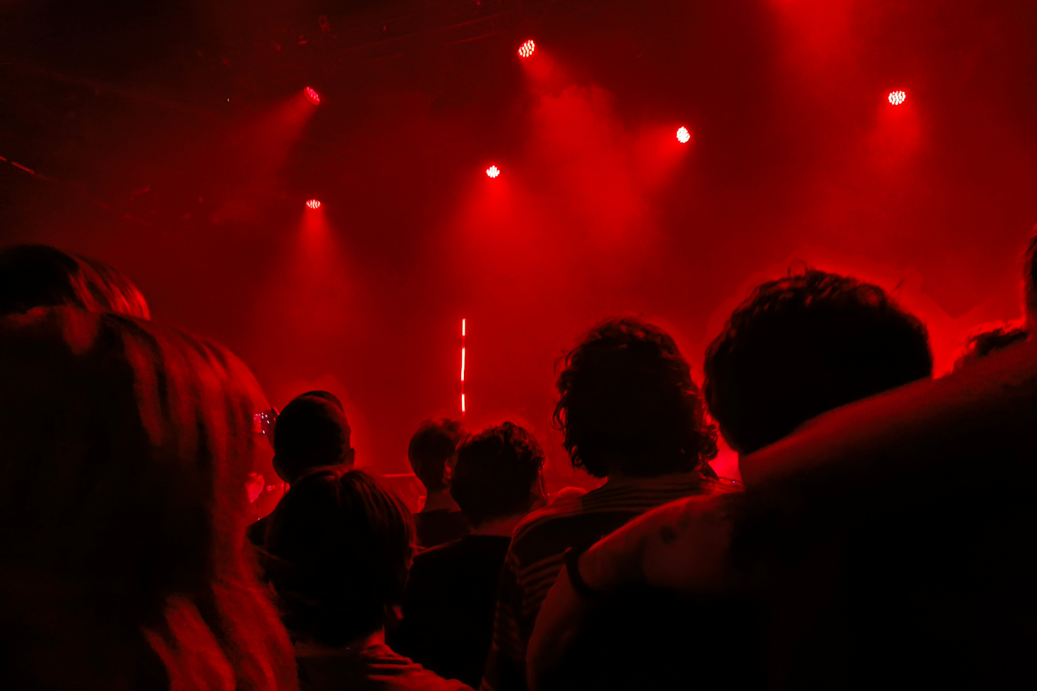 Fans at a Black Angels concert in Dublin