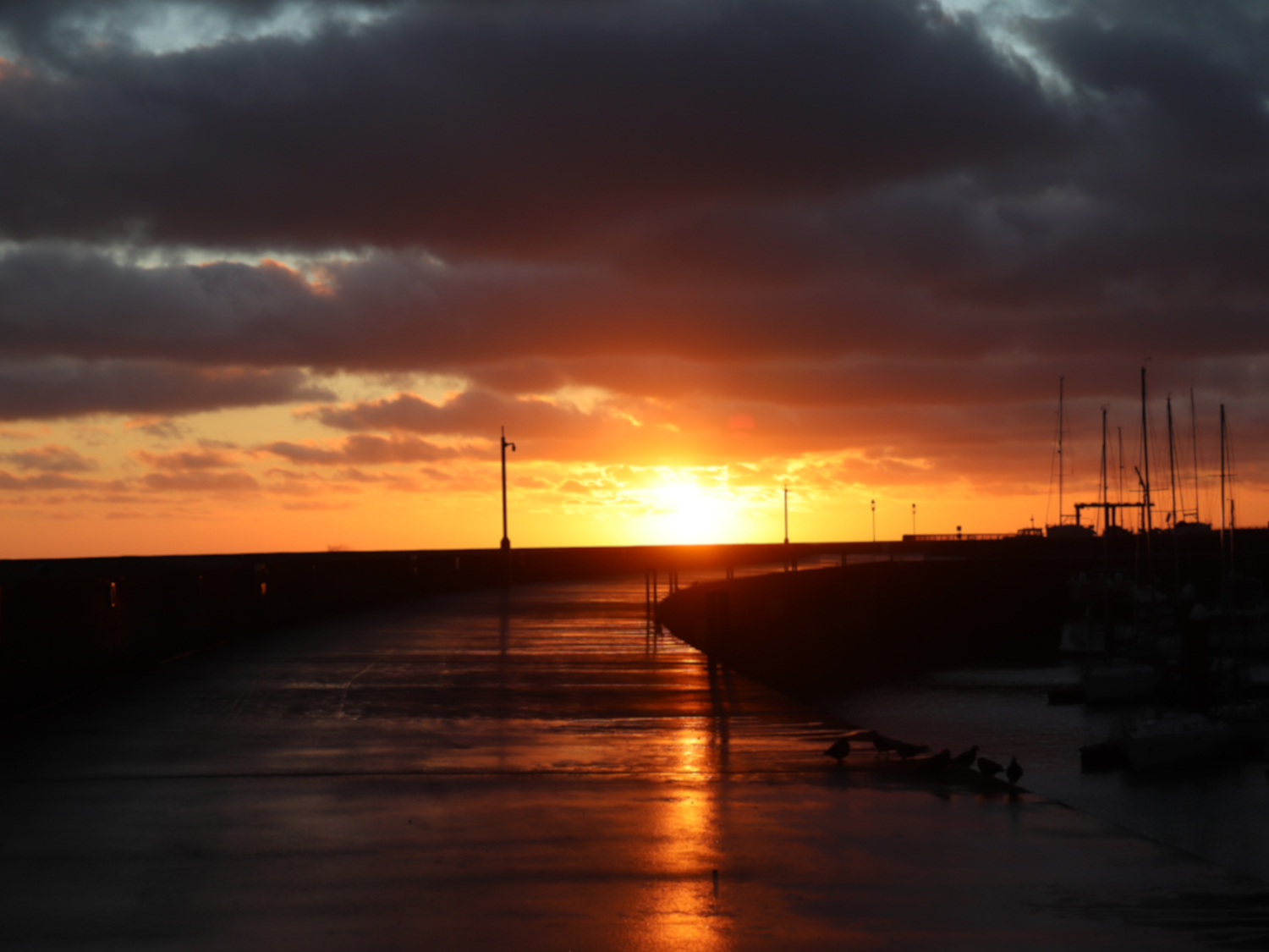 Greystones Harbour, at dawn, December 2025